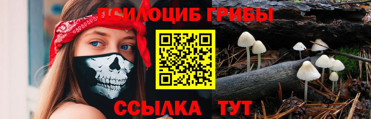 Псилоцибиновые грибы прущие грибы  Галлюциногенные грибы прущие грибы  Вход с VPN  Свободный 